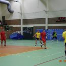 haldwoajka 77